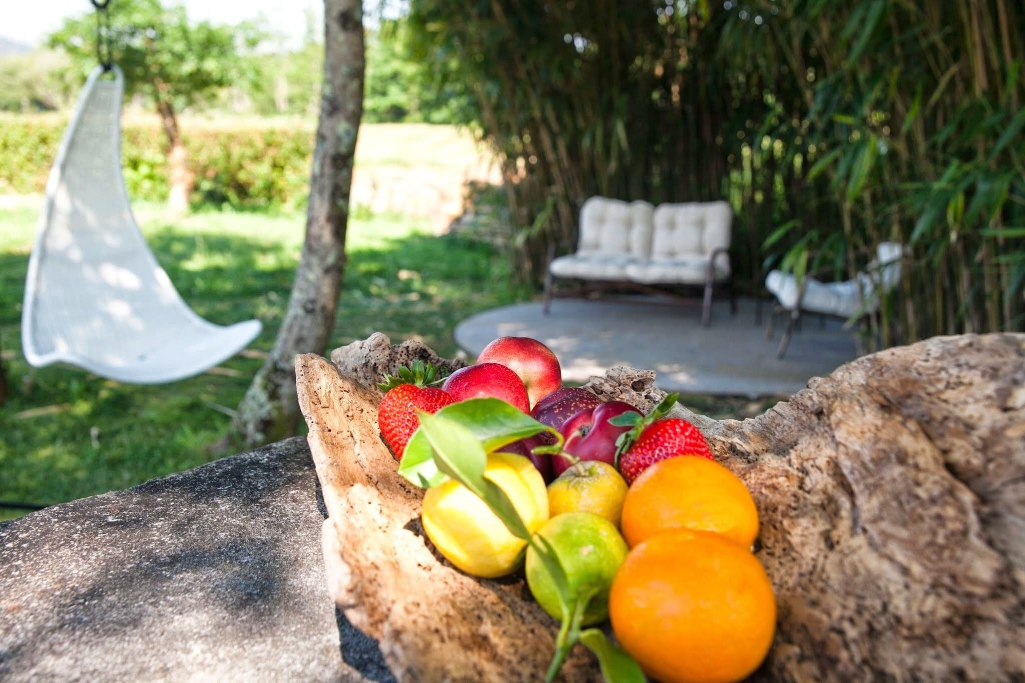 Photo - Os Lambráns