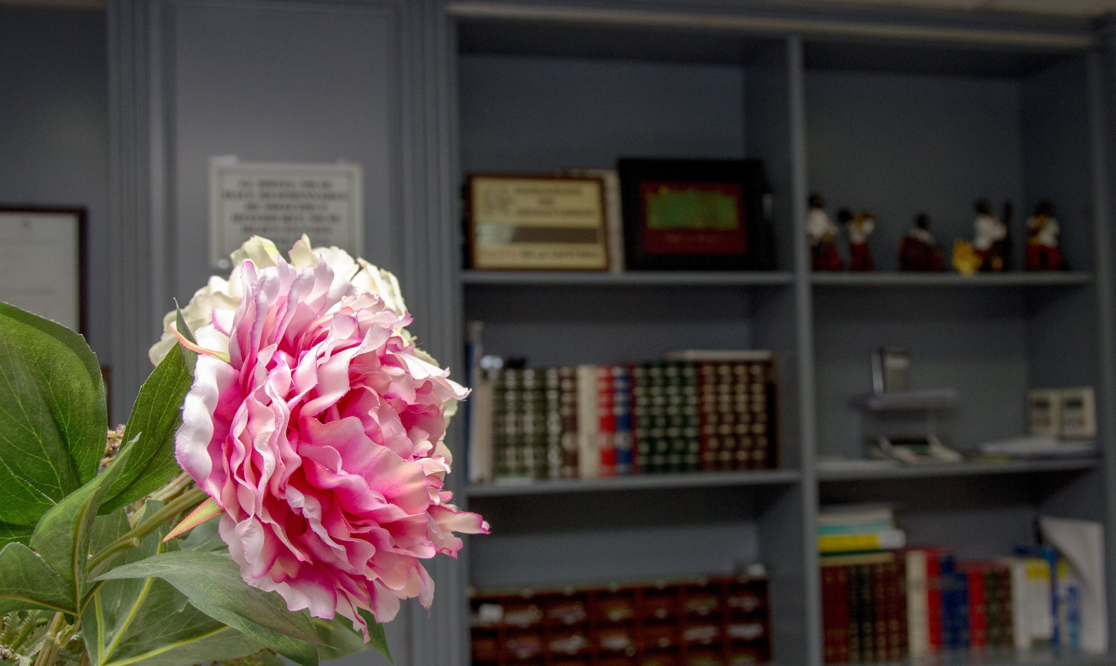 Foto - Ciudad de Alcala