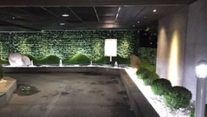 Un estacionamiento poco iluminado con piso de concreto, rodeado de arbustos bien recortados y una pared con un diseño de hojas verdes.