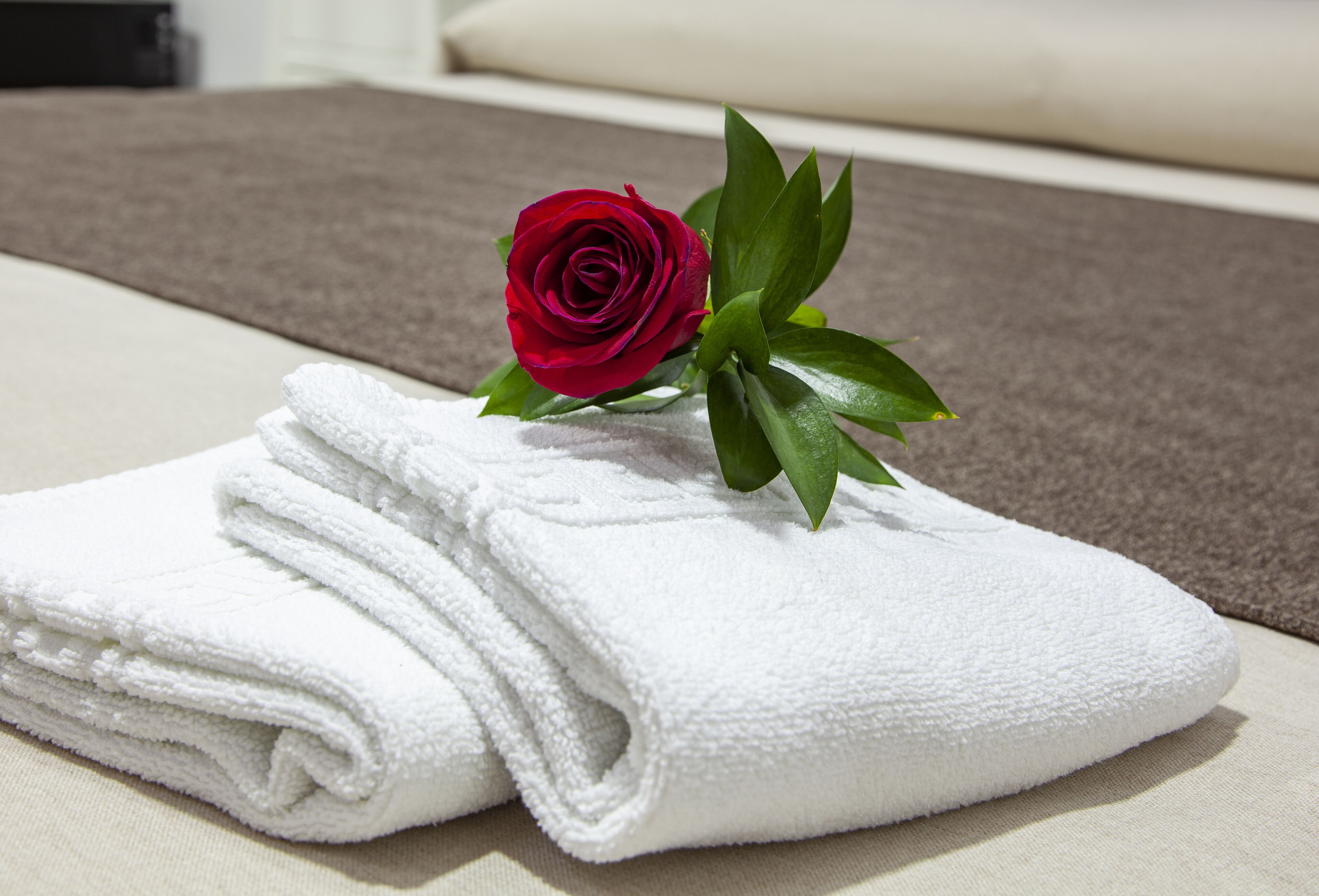 double or twin room | desk, blackout curtains, soundproofing, free wifi