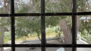 Deluxe Suite, 2 Queen Beds | View from property