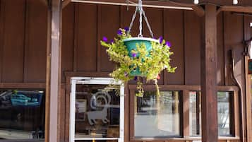 Een bloembak met paarse bloemen, een houten gevel en een raam met een bord.