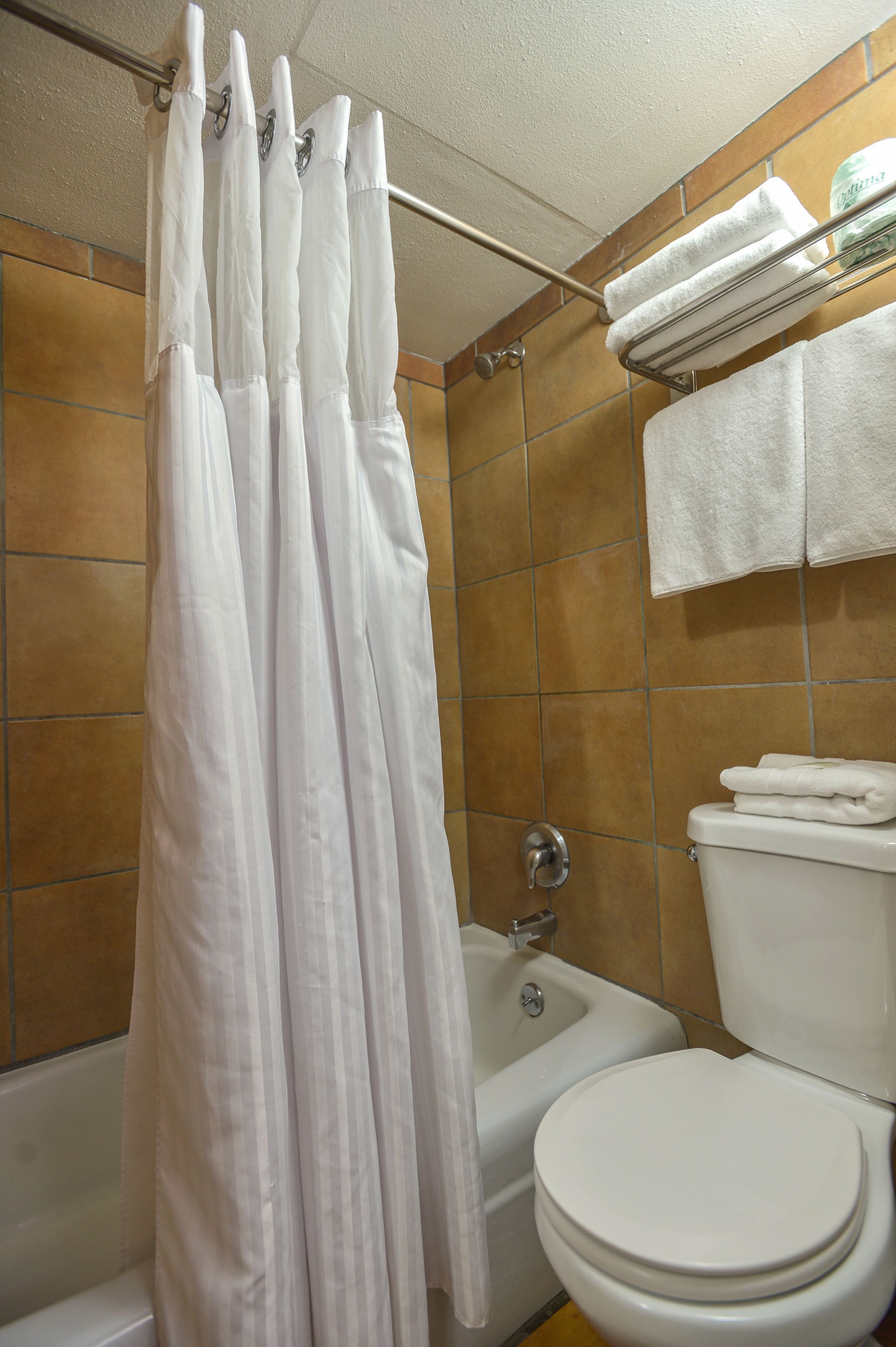 A bathroom with a shower curtain, a bathtub, and a toilet.