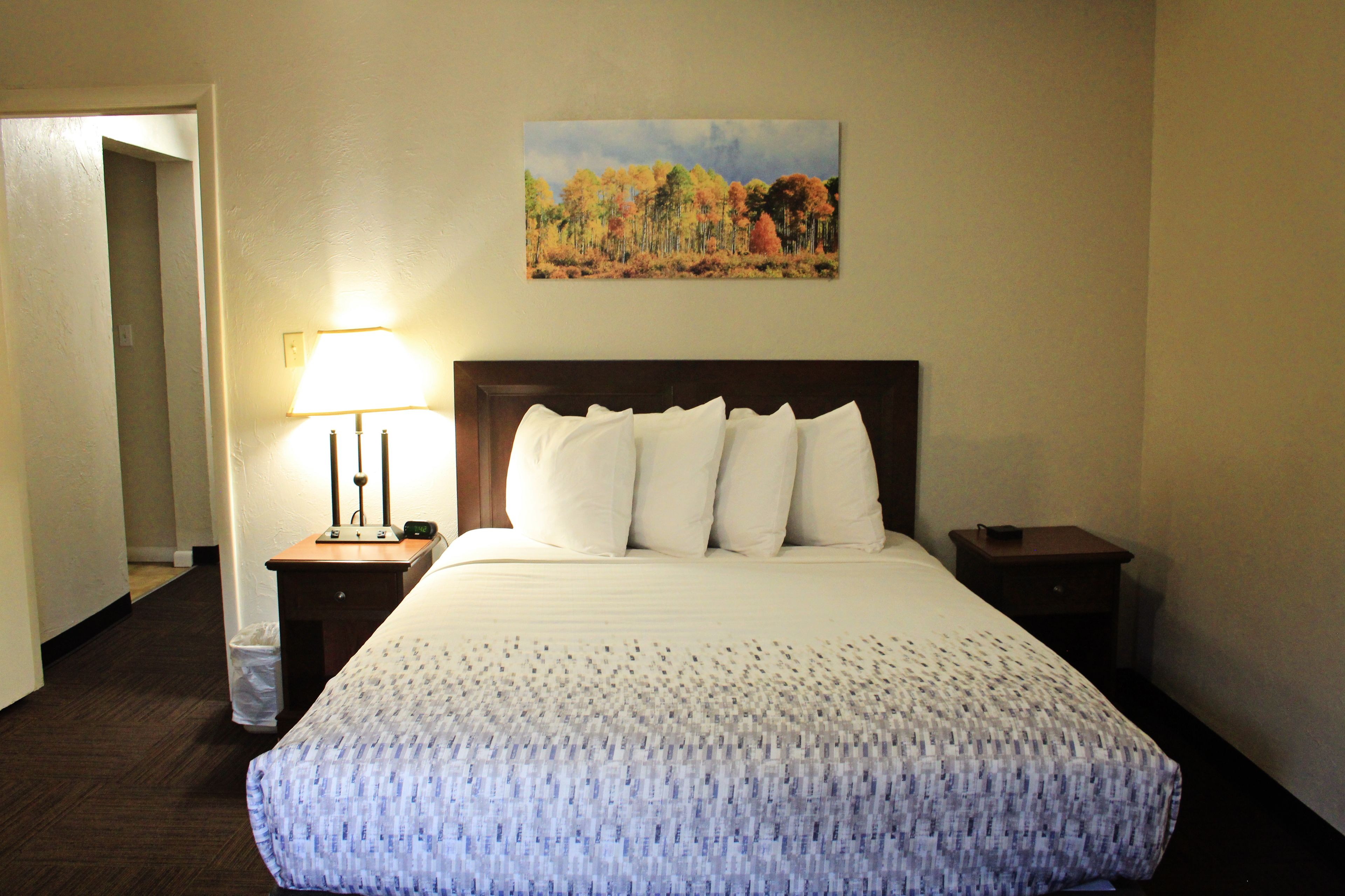 A hotel room with a large bed, a nightstand with a lamp, a painting on the wall, and a door to another room.