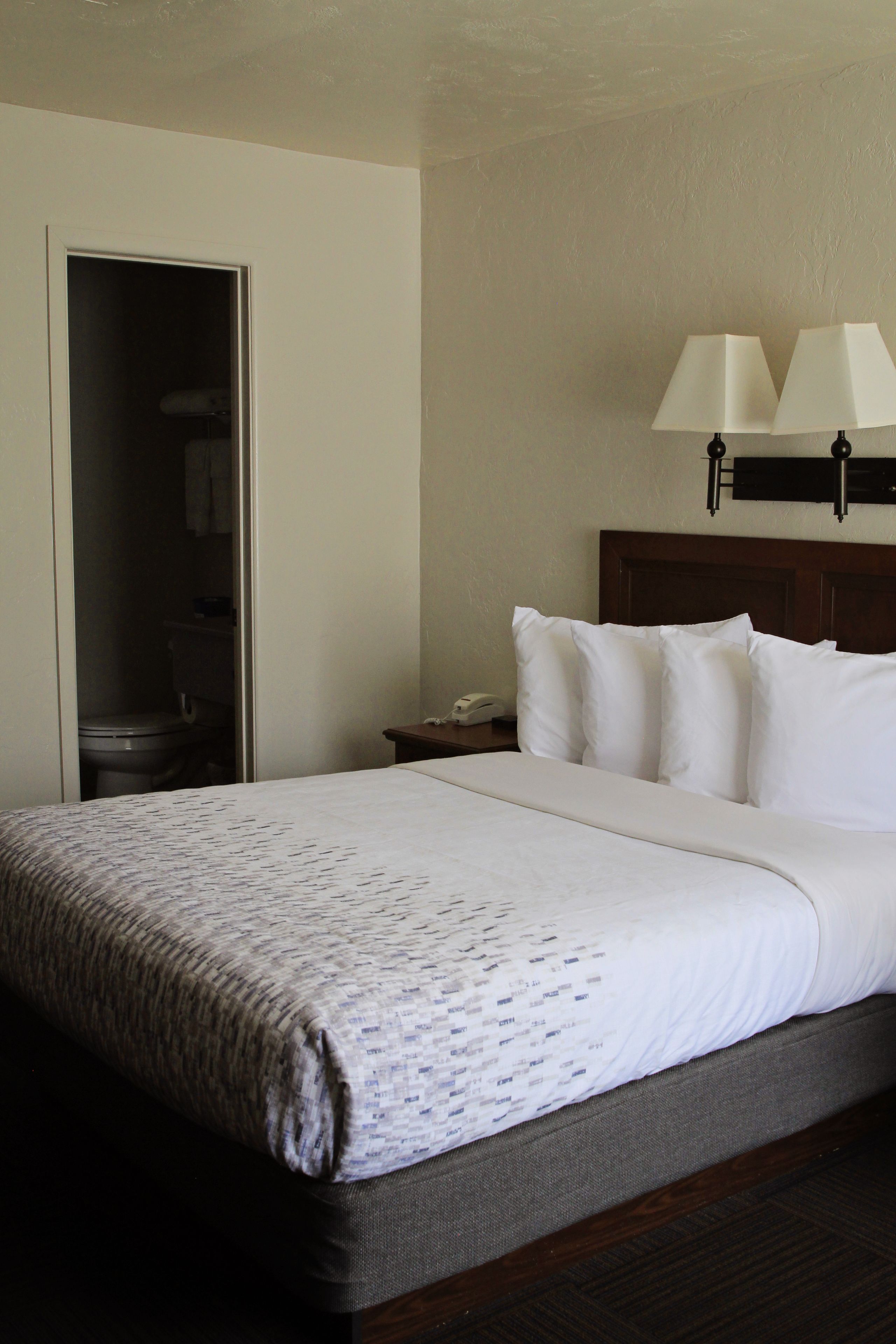 Een hotelkamer met een opgemaakt bed, een nachtkastje met een lamp, en een deur naar een badkamer.
