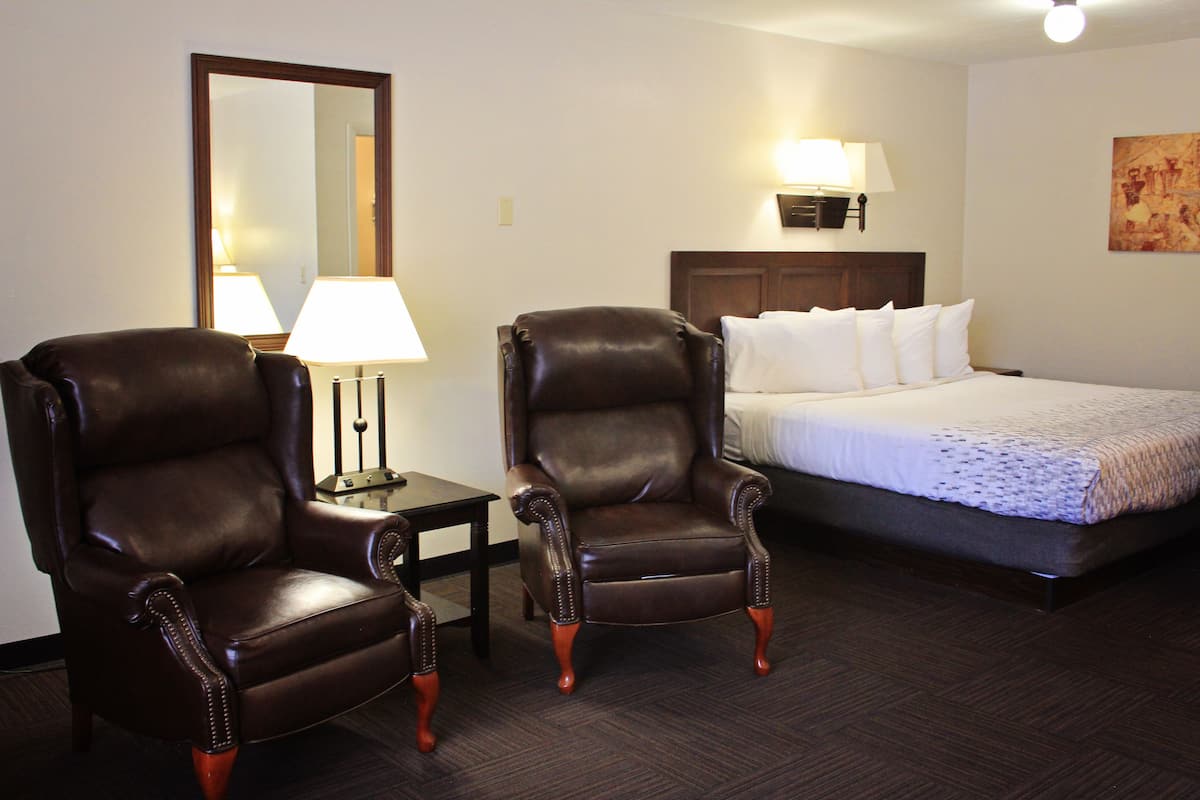 A hotel room with two leather armchairs, a bed with white bedding, a nightstand with a lamp, a wall-mounted light, and a mirror.