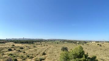 Un campo abierto y extenso con poca vegetación y un cielo azul despejado.