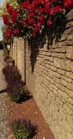 A brick wall with red flowers and purple plants.