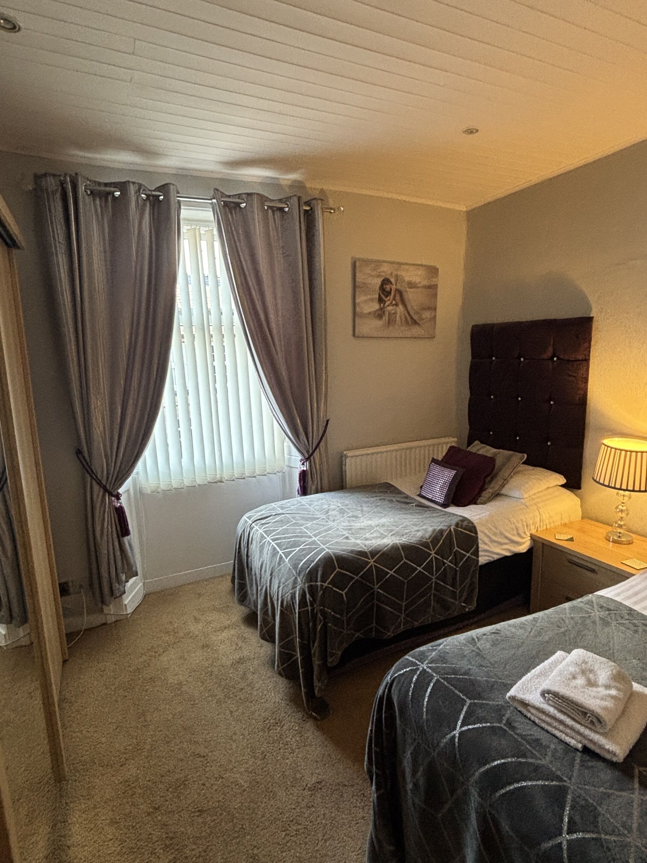 A bedroom with two beds, a window with curtains, a radiator, a bedside table with a lamp, and a wall-mounted picture.