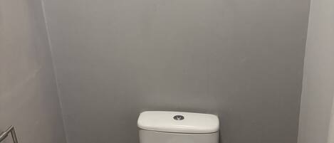 A small bathroom with a white toilet, a trash can, a small shelf with a potted plant, and a toilet paper holder.