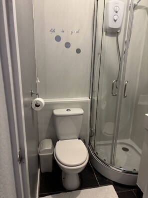 Habitación con 2 camas individuales, baño en la habitación | Baño