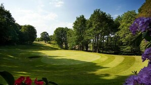 A well-maintained golf course with a clear path, surrounded by dense trees and lush greenery. - Wharton Park Golf & Country Club (Bewdley)