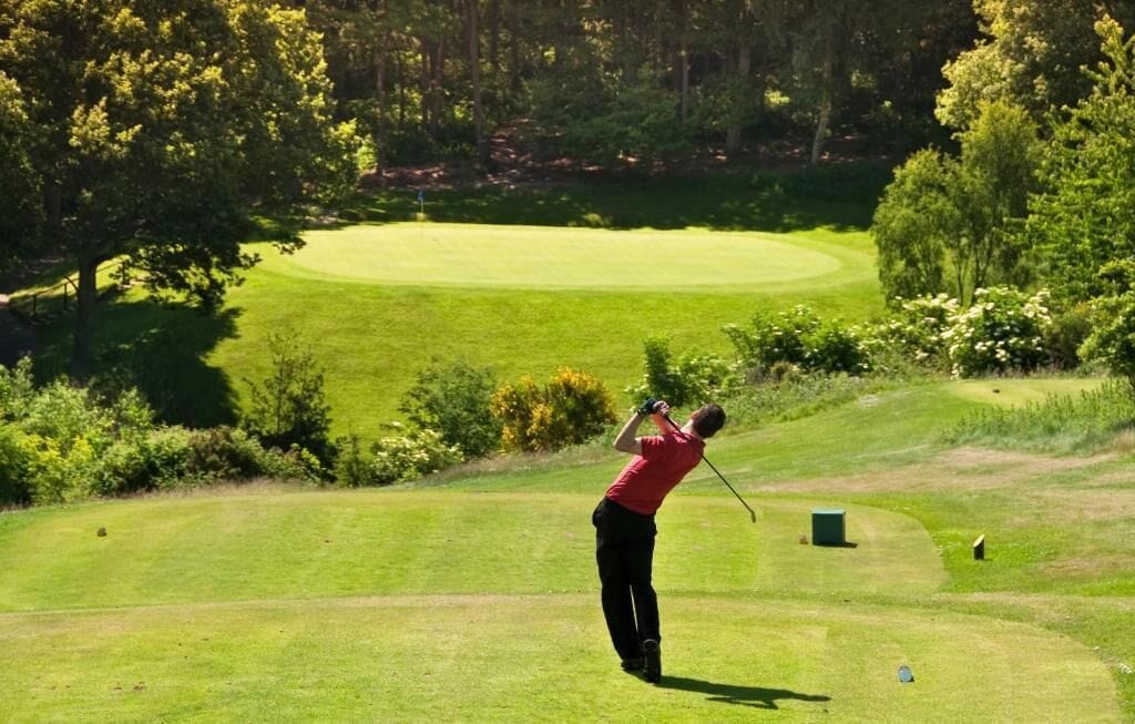 A golf course with a well-maintained green, trees, and a clear sky.