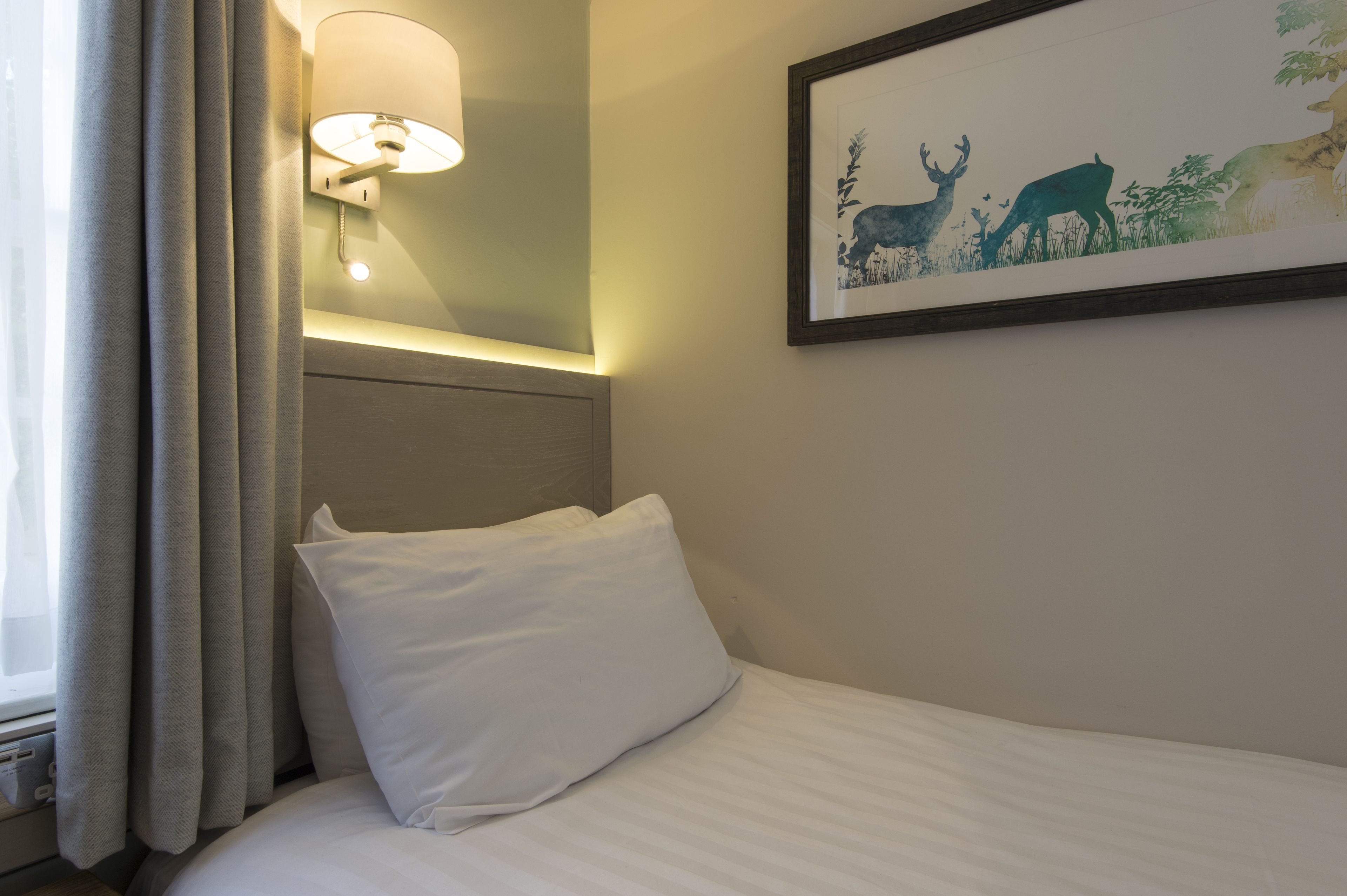 A hotel room with a bed, a wall-mounted lamp, a framed wildlife painting, and a window with curtains.