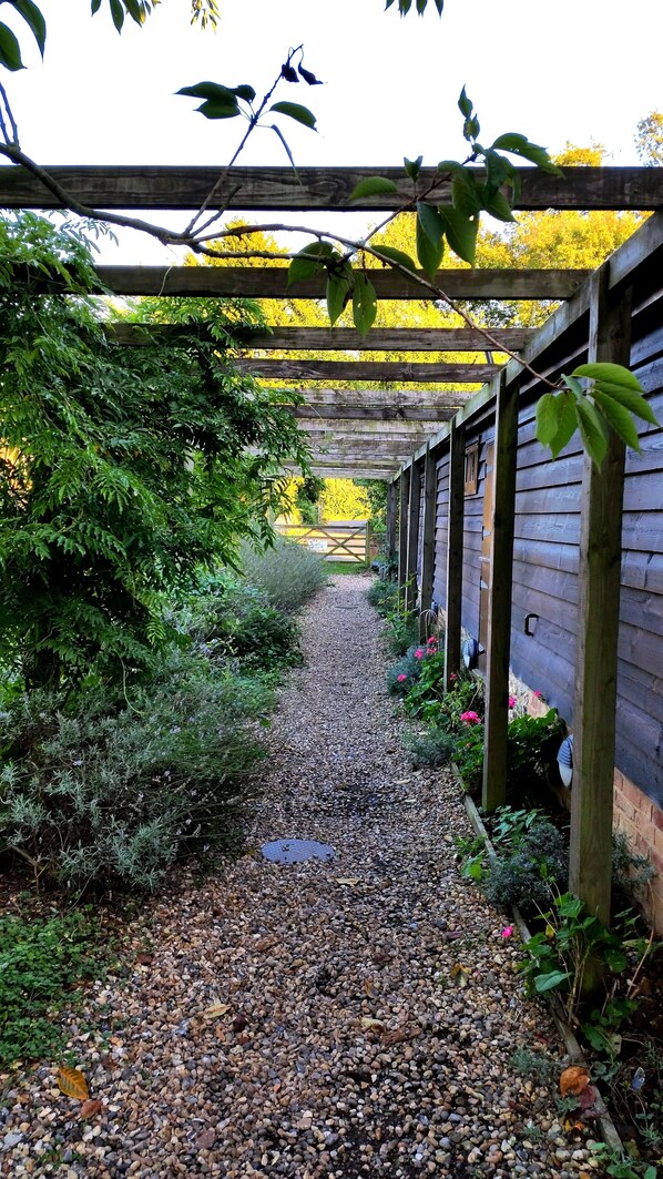 A garden pathway with a wooden pergola overhead, surrounded by various plants and a gravel path.