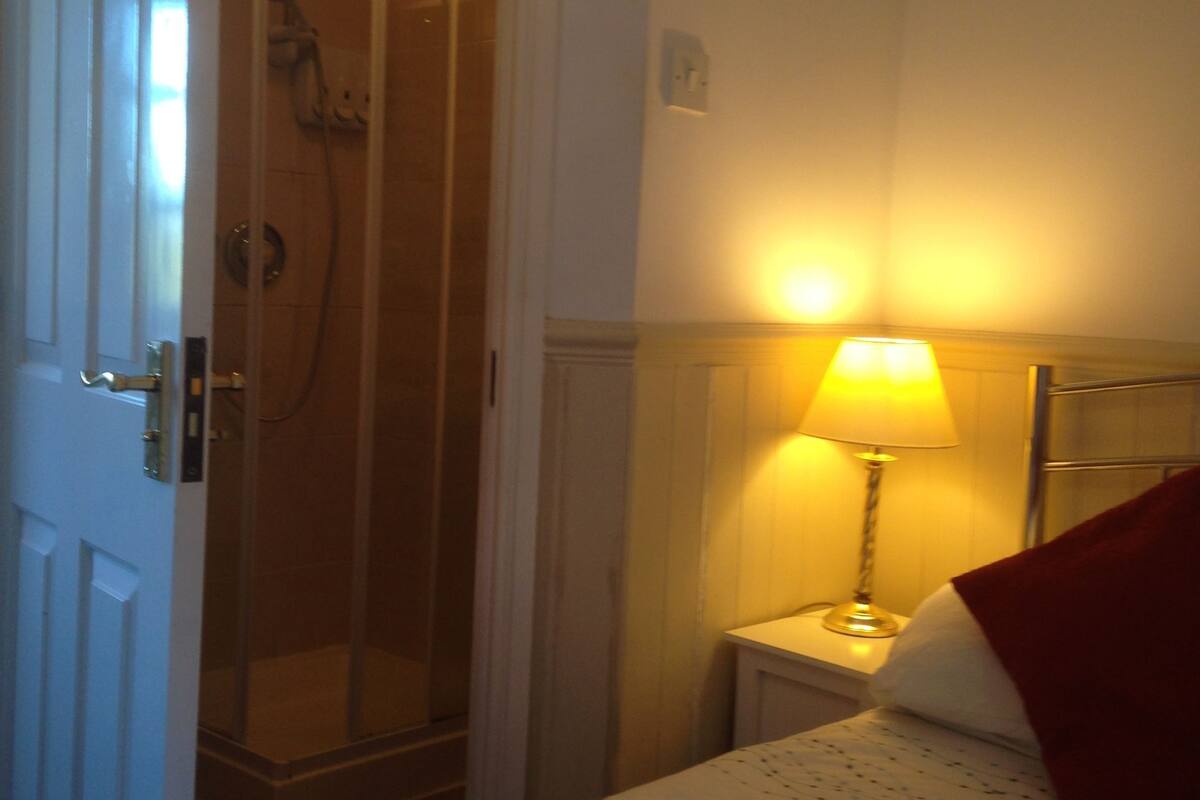 A hotel room with a bed, a nightstand with a lamp, a shower, and a door.