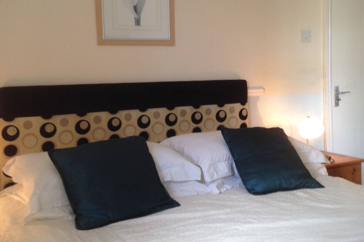 A bed with a patterned headboard, two pillows, a framed picture on the wall, and a bedside table with a lamp.