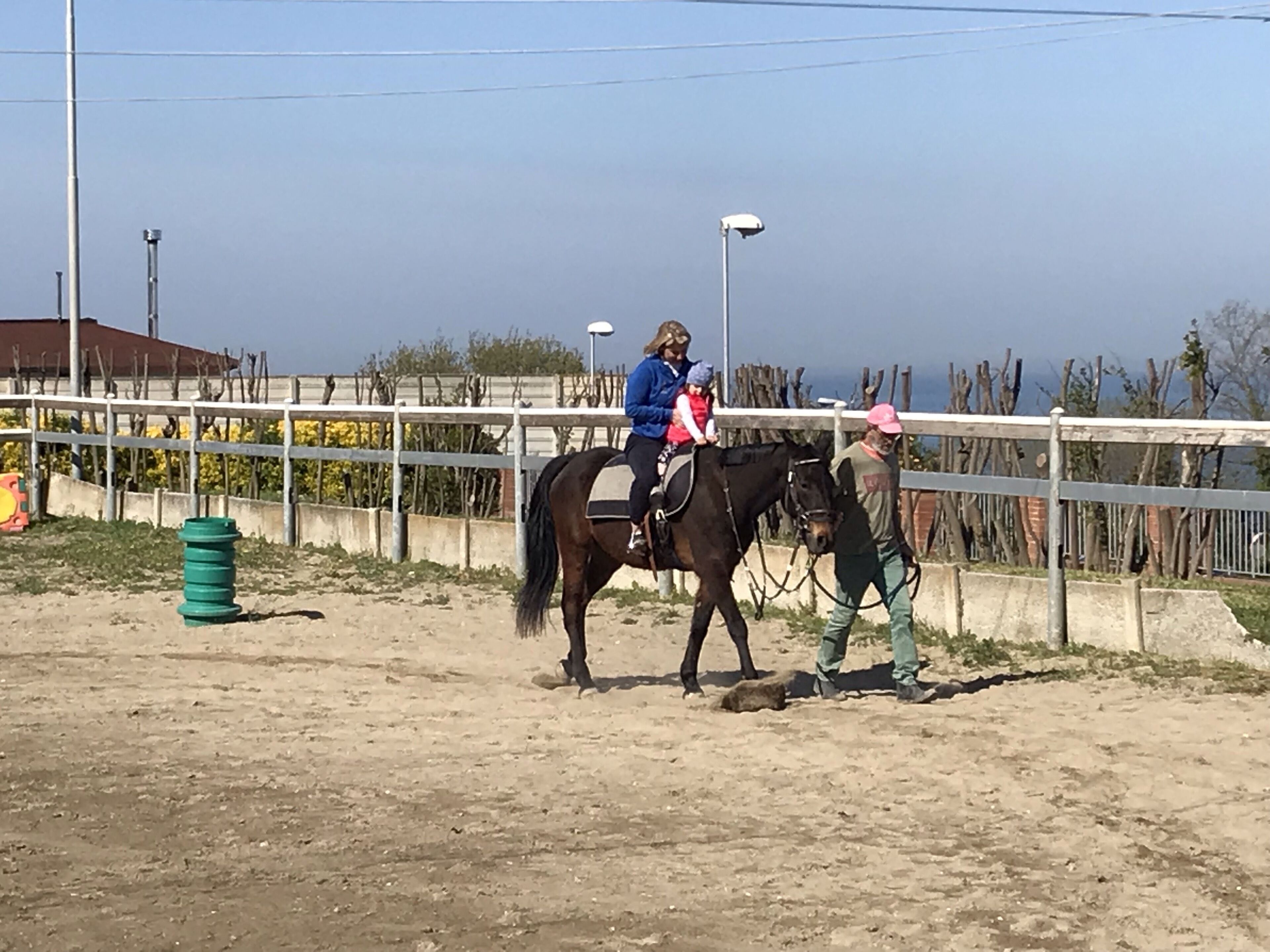 A person riding a horse in an outdoor arena with a fence, a green barrel, and a clear sky.