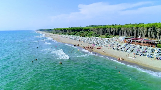 Una playa con filas de sillas de playa y sombrillas, una orilla arenosa y un promontorio boscoso al fondo.
