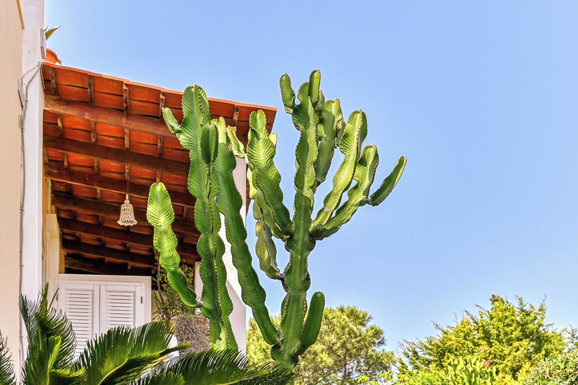 Photo - Hotel Villa Melodie - Adults Only