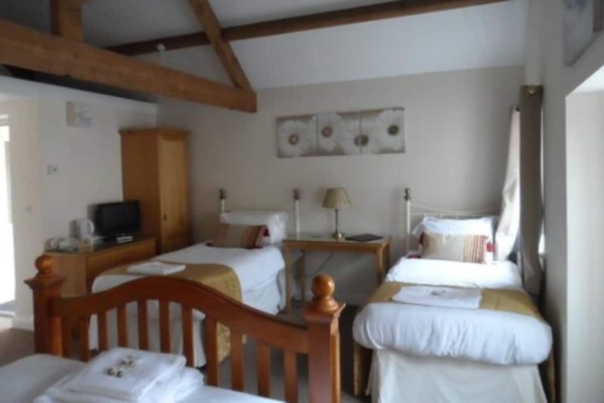 Habitación con dos camas individuales, cabeceros de madera, un armario de madera, un televisor y una obra de arte en la pared.
