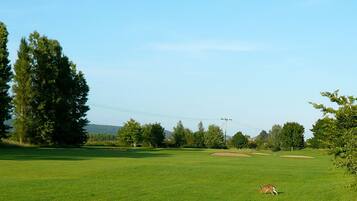 A golf course with a clear sky, trees, and a deer in the distance.