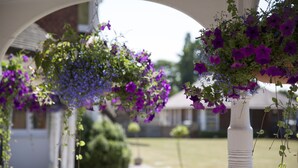 An outdoor area with hanging flower baskets containing purple and blue flowers, a white column, and a pathway leading to a building. - CIM Business Centre (Maidenhead)