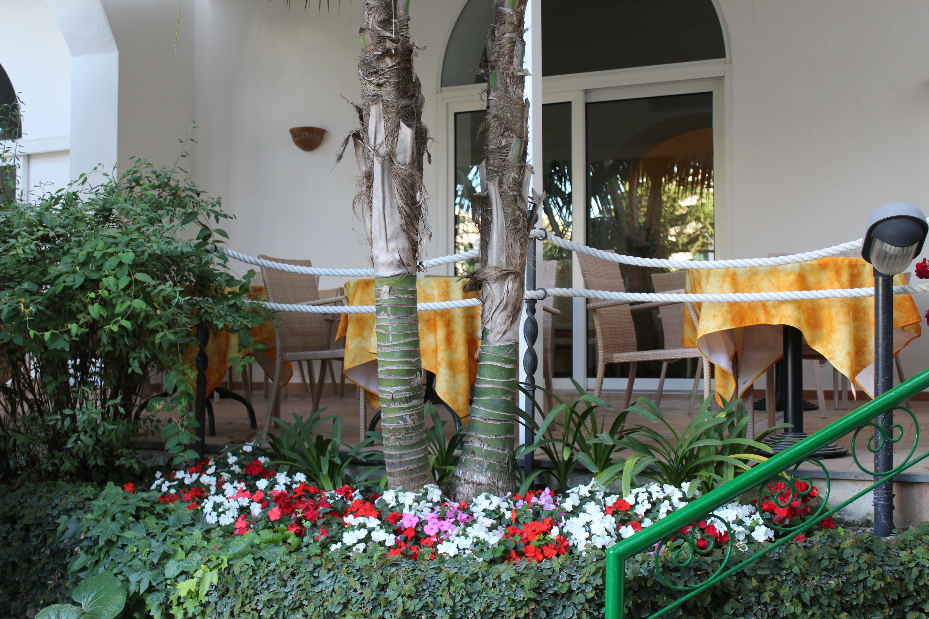 Ein Patio mit Tischen, die mit gelben Tischdecken bedeckt sind, umgeben von Pflanzen und Blumen.