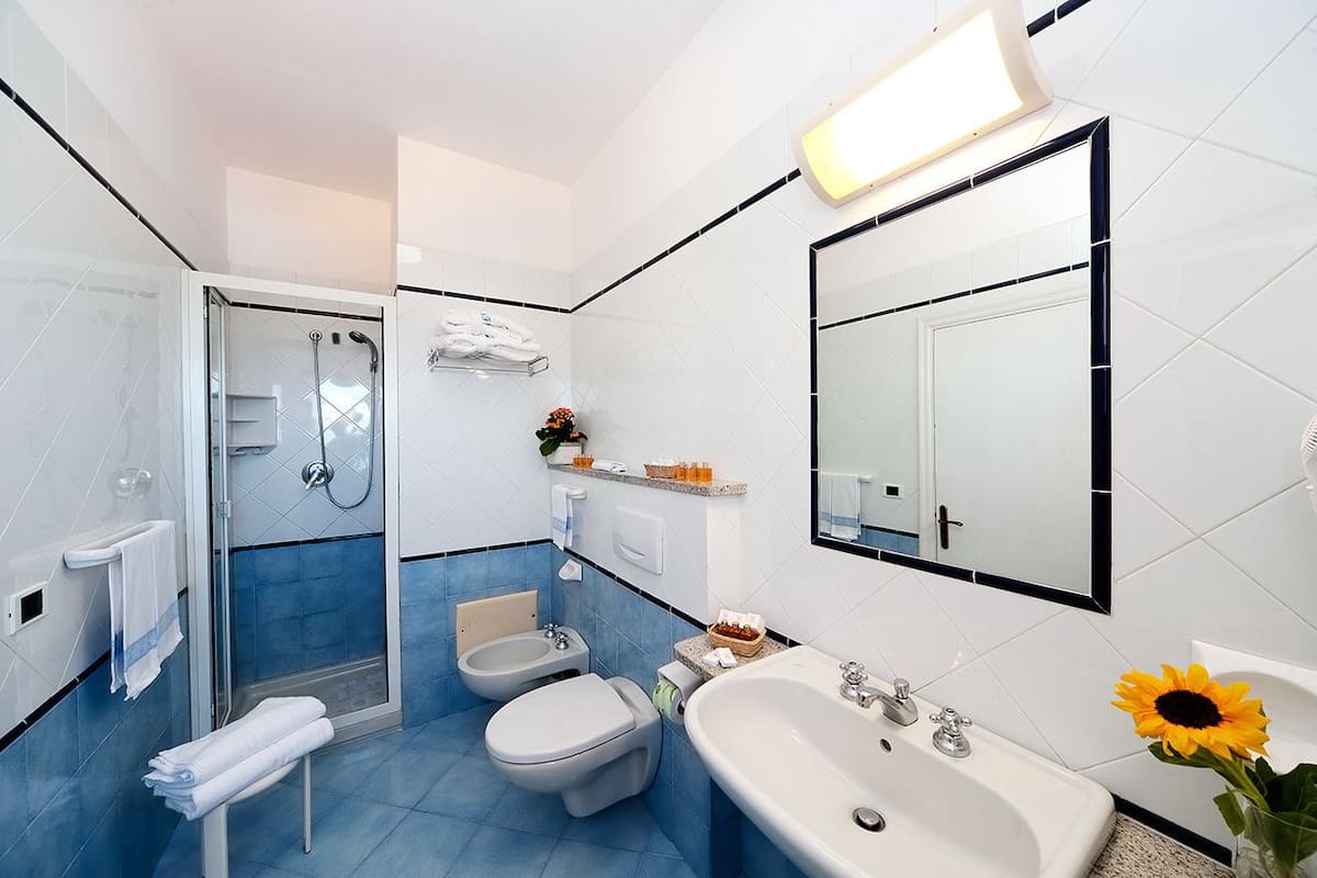 Shower, free toiletries, bidet, towels