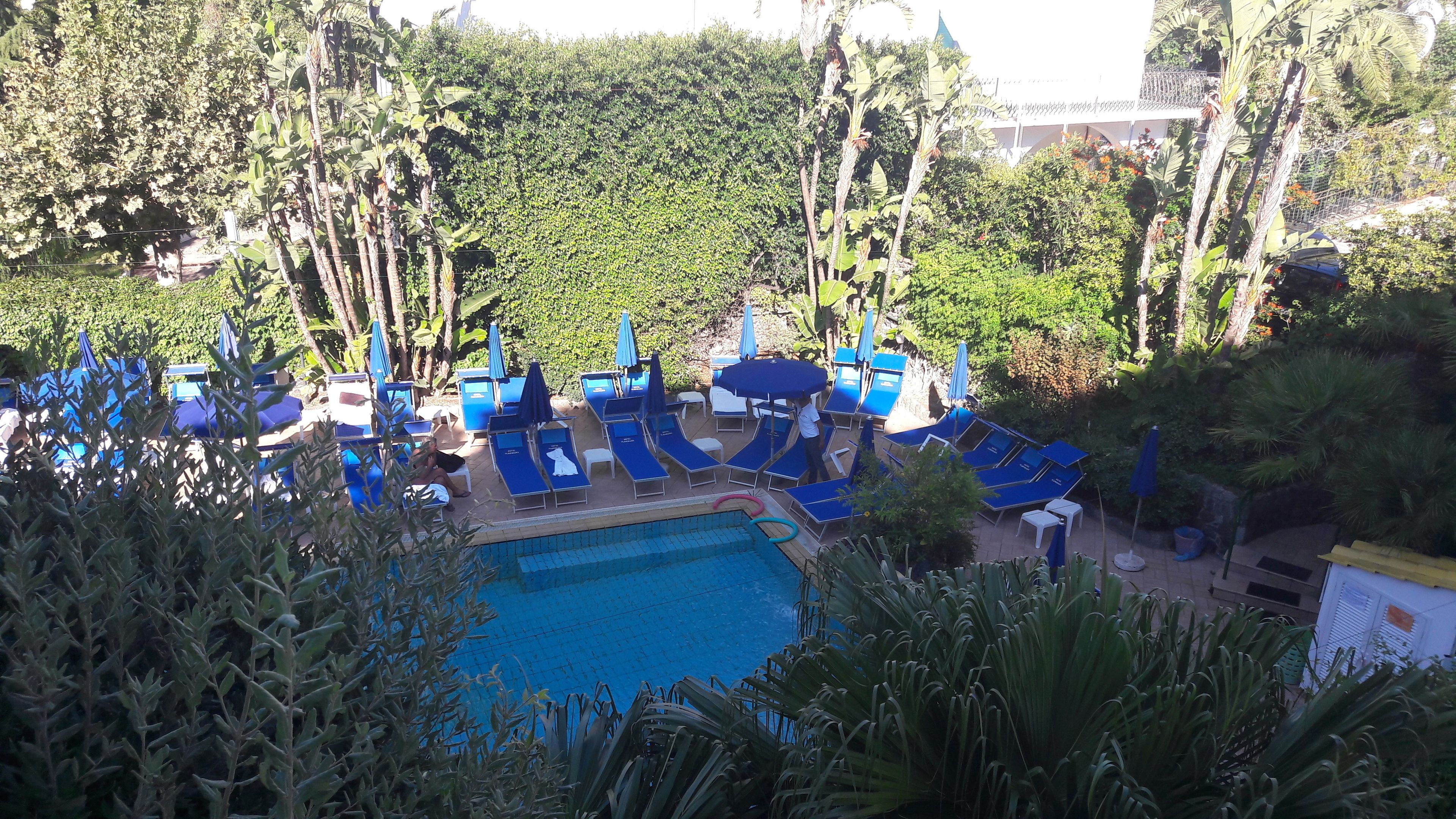 A pool area with blue lounge chairs and umbrellas, surrounded by dense greenery.