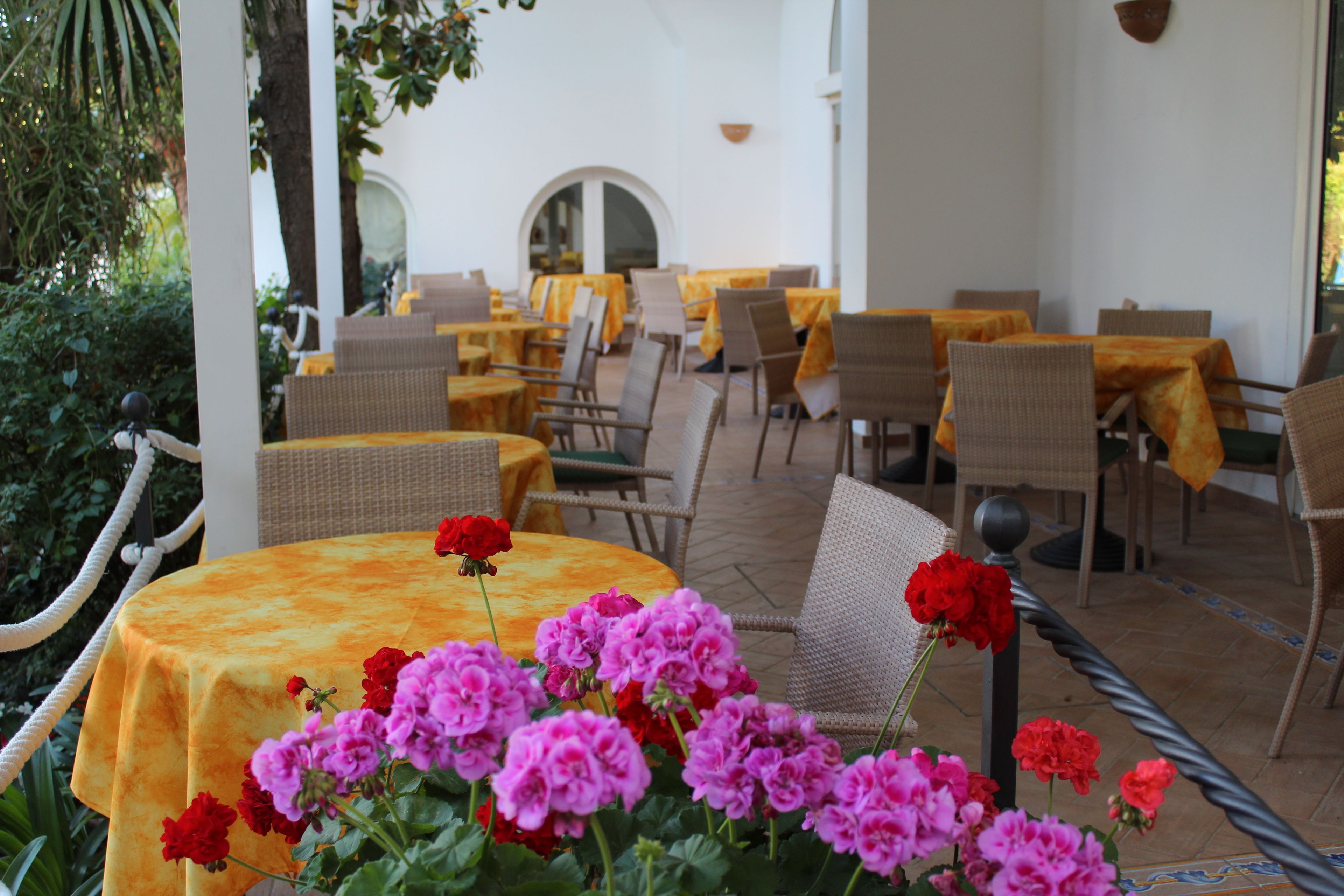 Un espace de restauration en plein air avec des chaises et des tables en osier recouvertes de nappes jaunes, entouré de verdure et délimité par une barrière décorative faite de cordes.