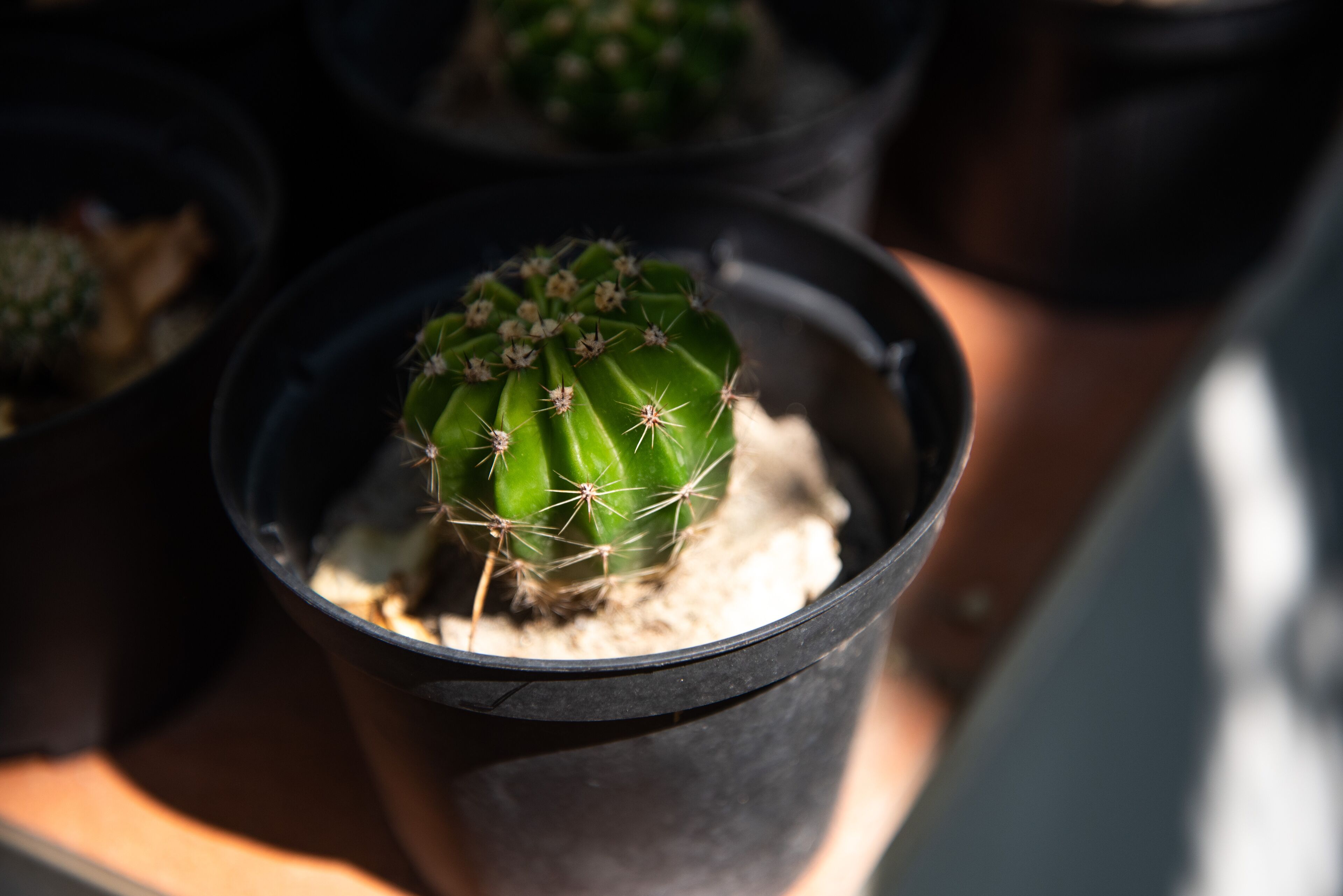 Photo - Maison Twentyfive