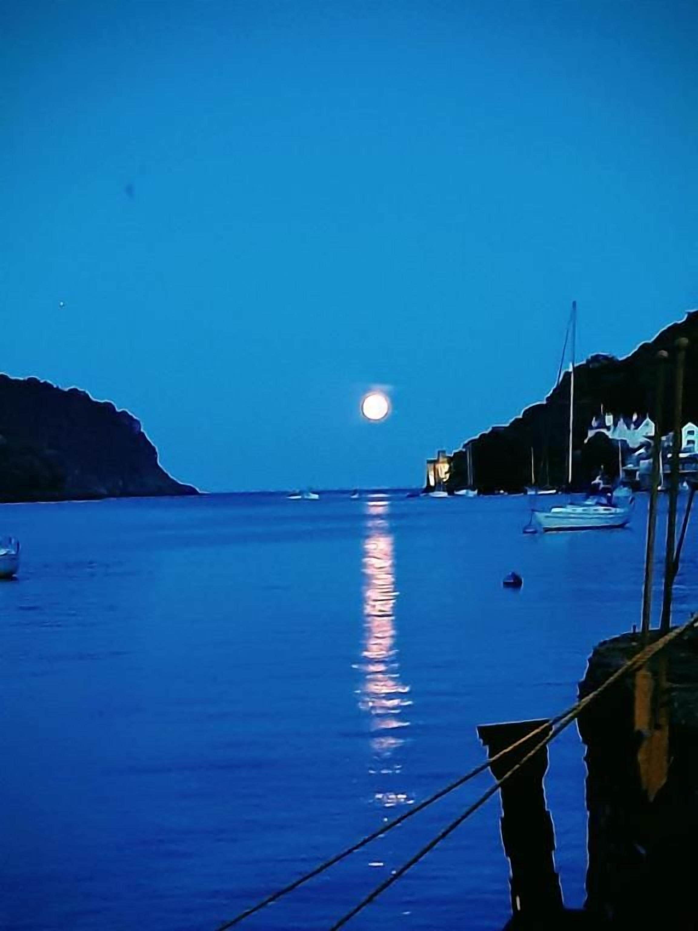 Una masa de agua tranquila con el reflejo de la luna, barcos y un muelle.