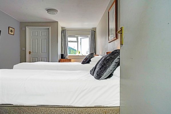 Standard Double Room with View