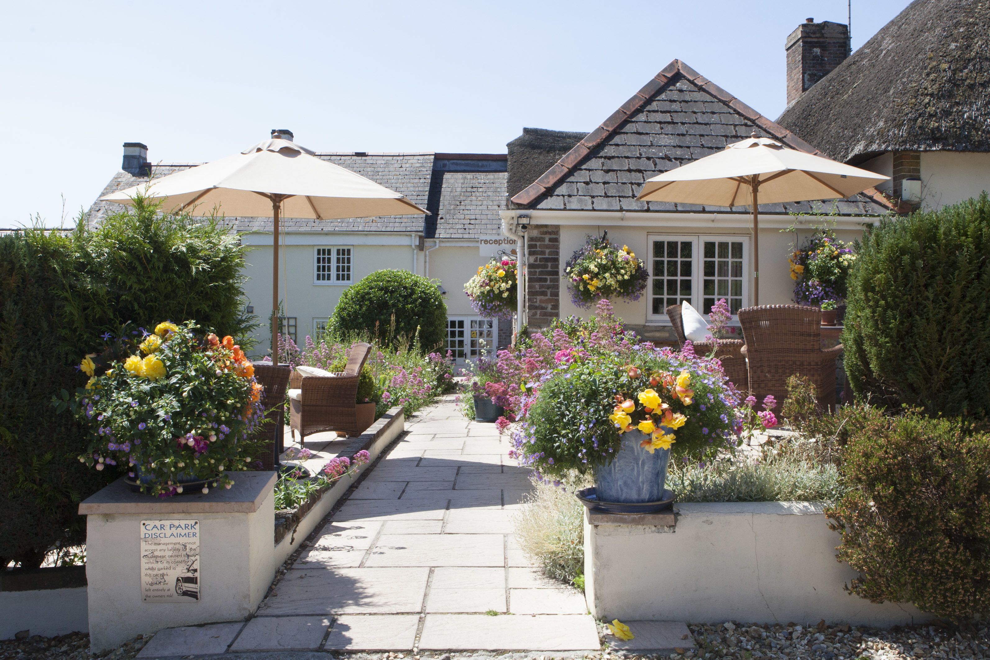 A pathway leading to a building with a reception area, surrounded by potted plants and outdoor seating.
