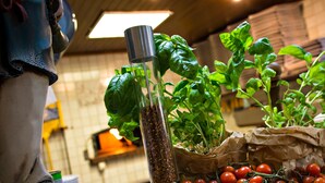 Una cocina con un jardín de hierbas colgante, una bolsa de tomates cherry y un recipiente metálico.