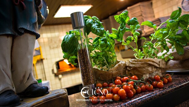 Una encimera de cocina con albahaca fresca, tomates y un recipiente de metal.