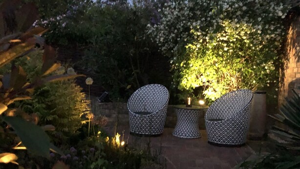 A garden patio with two patterned chairs and a table, surrounded by lush greenery and flowering plants. - The Blue Cow (Huntingdon)
