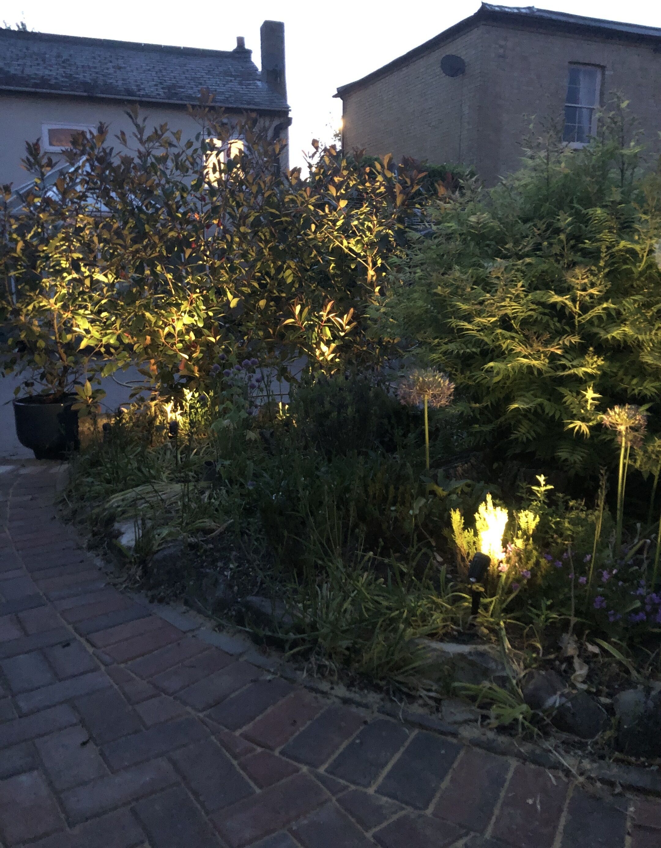 Cottage Cao cấp, phòng tắm riêng, quang cảnh sân vườn | Ngoại thất