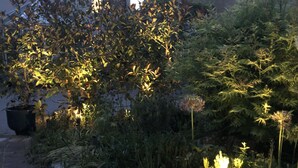 A garden pathway with various plants and a brick path. - The Blue Cow (Huntingdon)