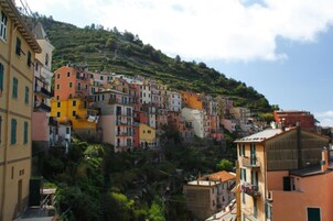 Vista desde la propiedad