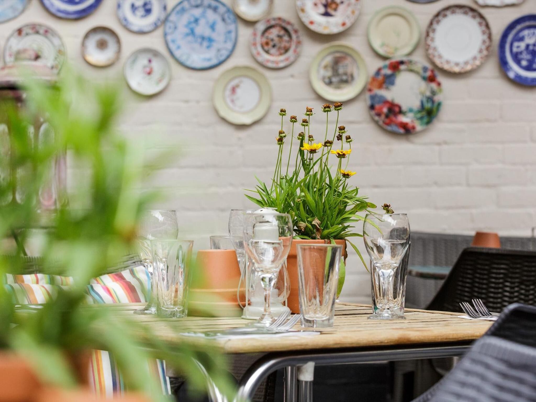 A dining table with a potted plant and several glasses of water.