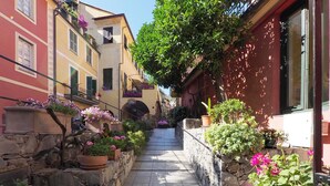 A narrow stone-paved alley with potted plants and flowers lining the sides, leading to a building with a red facade. - Margherita (Monterosso al Mare)