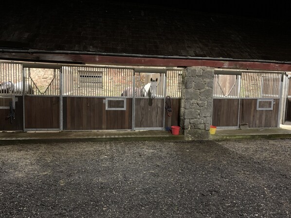 Property grounds - Witherslack Hall Farm (Grange-over-Sands)