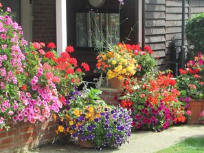 A front porch with a variety of potted flowering plants in full bloom. - Decoy Barn (Great Yarmouth)
