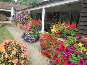 家庭套房, 2 间卧室 | 客房内保险箱、特色装修、特色家居、办公桌