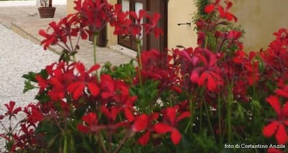 Al Crepuscolo Agriturismo