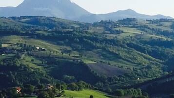 Suíte | Roupas de cama premium, frigobar, cofres nos quartos, escrivaninha