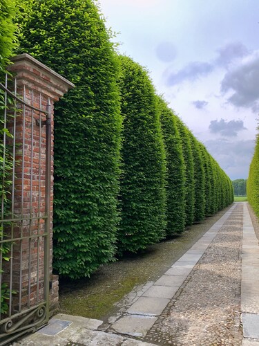 Tenuta La Cascinetta