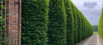 Tenuta La Cascinetta